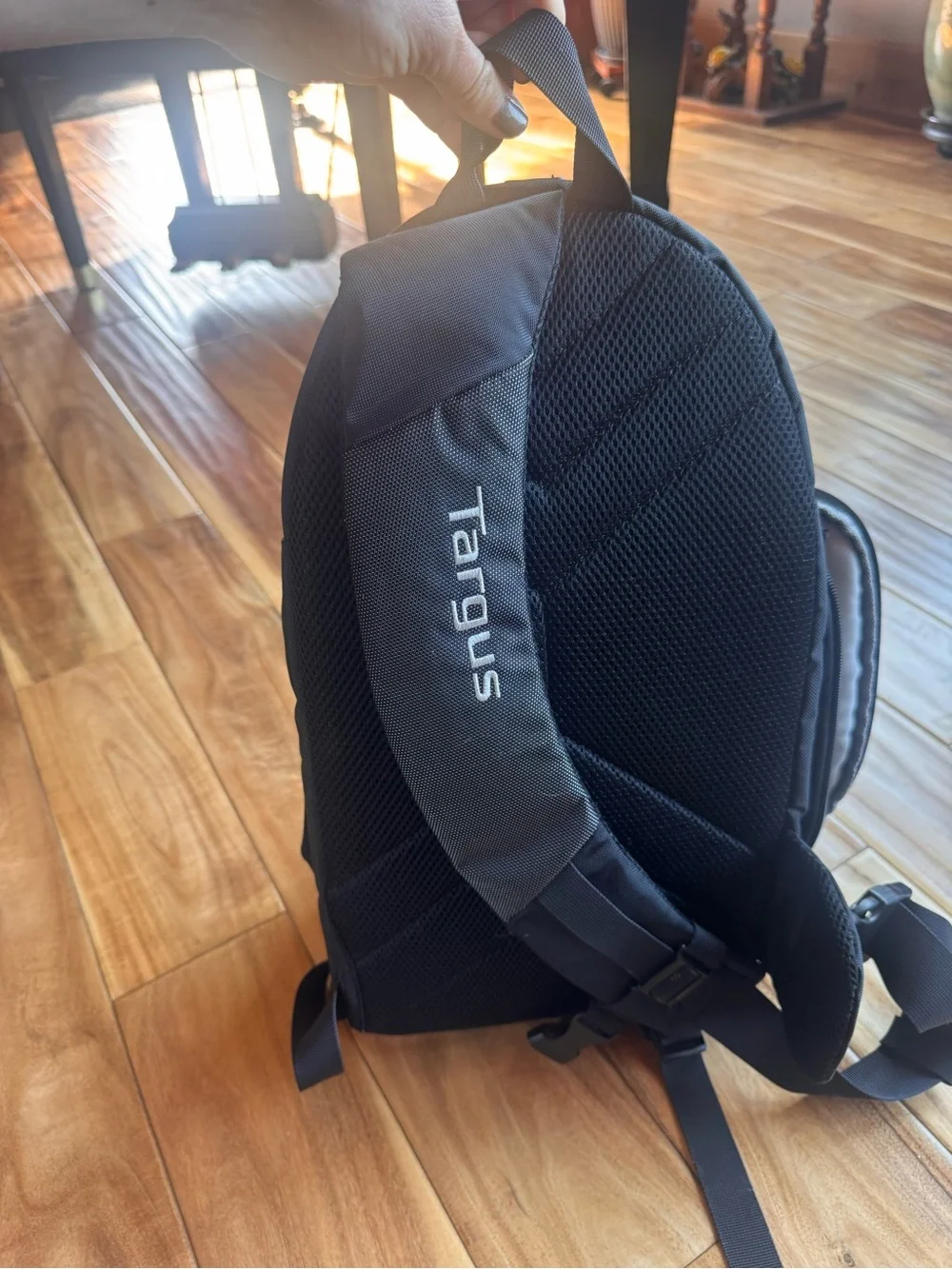 Targus Black Sling Camera Backpack with Red Trim